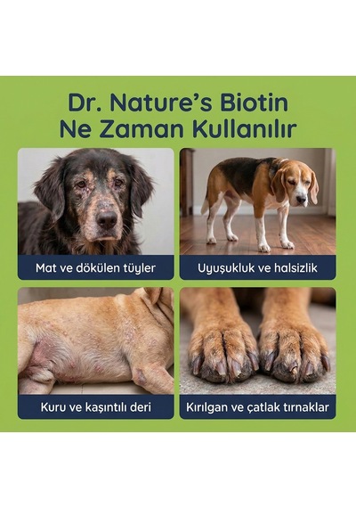 Köpek Biotin Damla 50 Ml Sıvı Deri Ve Tüy Sağlığı Desteği