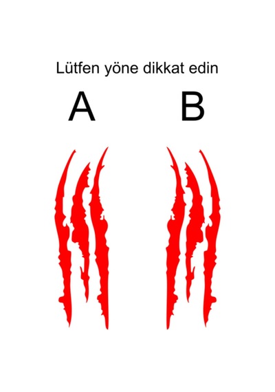 Oto Sticker Yeşil 40 12 Cm