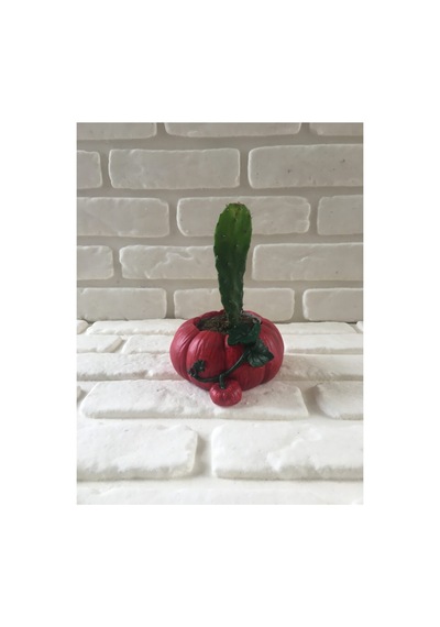 Dekoratif Balkabağı Beton Saksı 15 7 Cm Kırmızı
