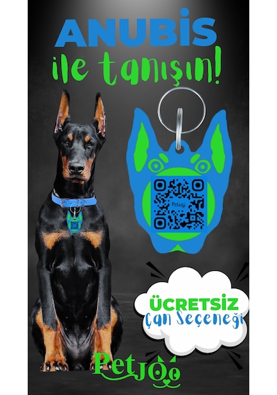 Petjoo 30.Anubis Yeşil-Mavi Qr'lı Köpek Künyesi