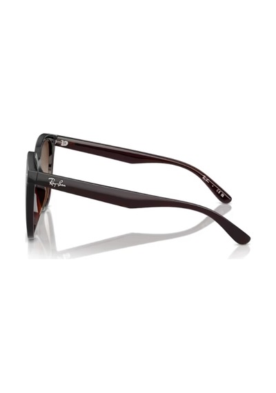 Ray-ban Rb4423d 714/13 Kahverengi Kadın Güneş Gözlüğü