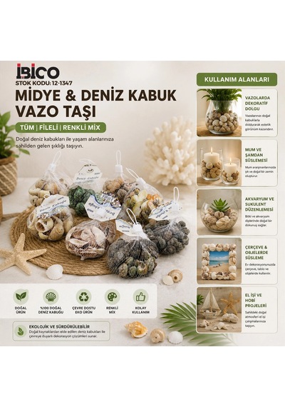 20 Adet Fileli Renkli Mix Eko Midye - Deniz Kabuk Vazo Taşı 5468