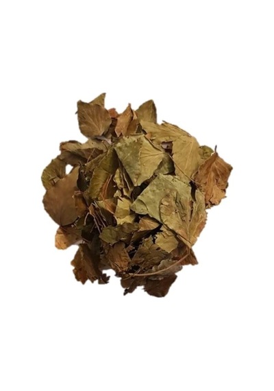 Sarmaşık Otu 25 G