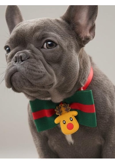 Royal Rudolph Premium Yılbaşı Köpek Papyonu Limited Edition Luxe Aksesuar Orta & Büyük Irklar İçin