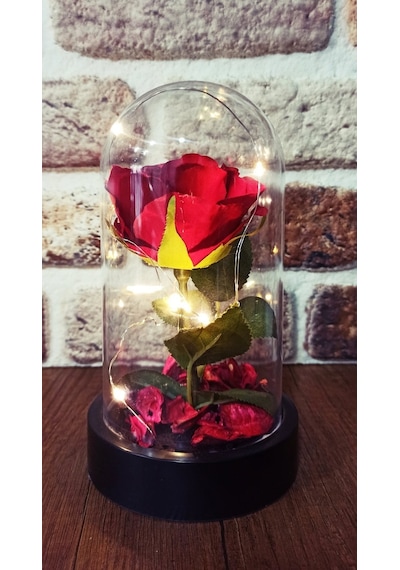Led Işıklı Şeffaf Mika Fanusta Işıklı Gül Kırmızı + Kolye Set