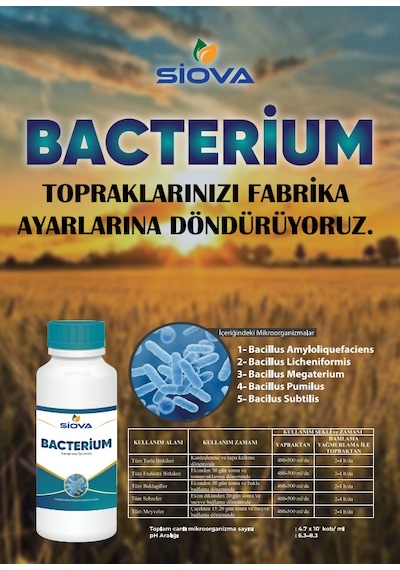 Siova Bacterium Mikrobiyal Gübre 5lt 5 ML