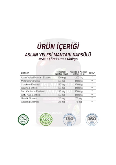 Gökçek Şifa Aslan Yelesi 1000 MG (Lion's Mane Mushrooms Capsule) 60 Kapsül