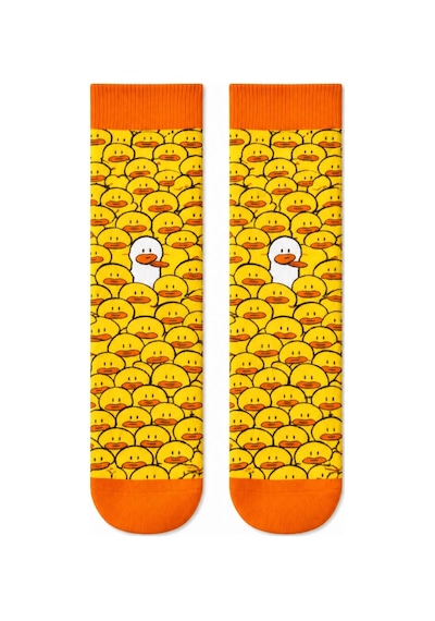 Carnaval Socks Eğlenceli Karışık Desenli 5'li Kutulu Çorap Seti 2000386