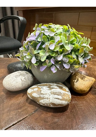 Premium Modern Gri Saksıda Gerçekçi Yapay Dekoratif Bitki 17 X 13 Cm Ev Ve Ofis Dekoru Çok Renkli