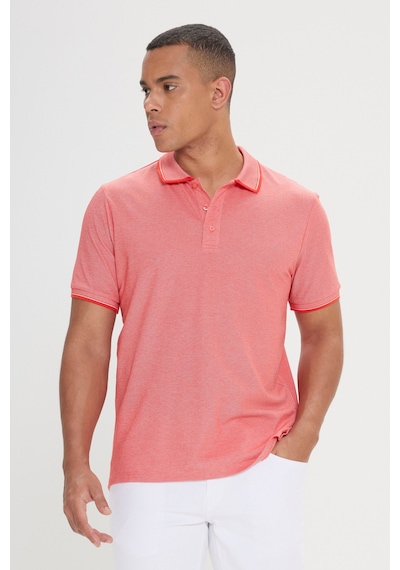 AC&Co / Altınyıldız Classics Erkek Kıremıt-Nar Cıcegı-Mor Çekmeyen Pamuklu Kumaş Slim Fit Dar Kesim 3 'Lü Kıvrılmaz Polo Yaka Tişört Çok Renkli AC&Co / Altınyıldız Classics Erkek Kıremıt-Nar Cıcegı-Mor Çekmeyen Pamuklu Kumaş Slim Fit Dar Kesim 3 'Lü Kıvrılmaz Polo Yaka Tişört Çok Renkli