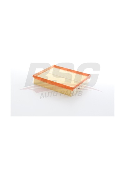 Bsg Hava Fıltresı Sungersız E243l / Lx537 - T4 91-03