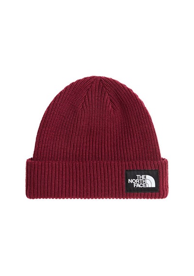 The North Face Salty Lıned Beanıe Bere Nf0a8cgzmvo1 Kırmızı
