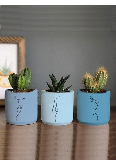 Minimalist Kadın Çizimli 3lü Set Kaktüs Ve Sukulent Saksısı Hediyelik