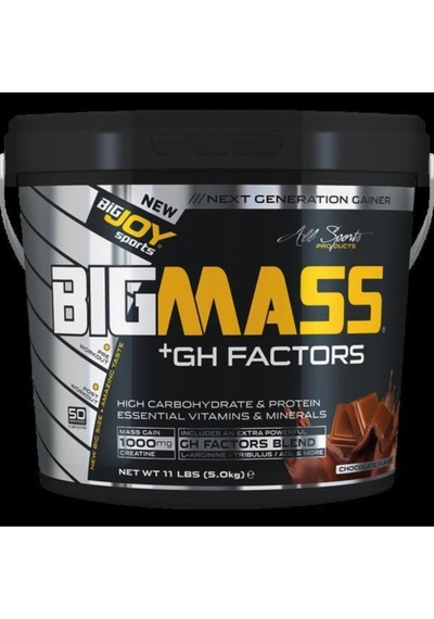 Bigjoy Sports Bigmass Gainer Gh Factors 5000 Gr Çikolata