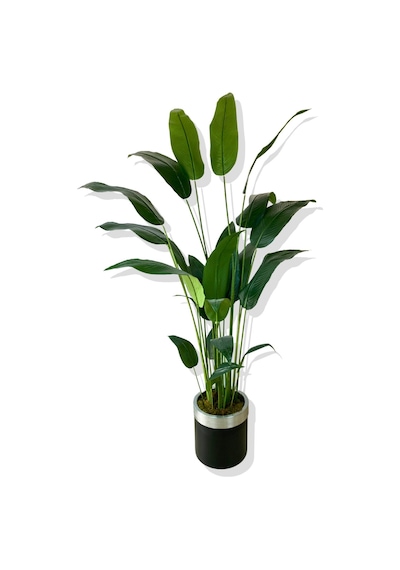 Cihan Çiçekçilik Starliçe 24 Yaprak 190 Cm Yapay Ağaç 30x30 Gümüş Kemerli Saksı Beyaz- Yeşil