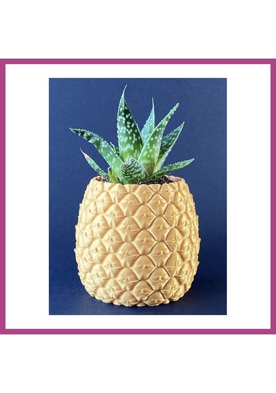Gees Global 3d Baskı Ananas Formlu Saksı Ve Kalemlik Kabartma Dokulu Sukulent Saksısı Masaüstü Bitki Ve Kalem Tutucu Gbzs