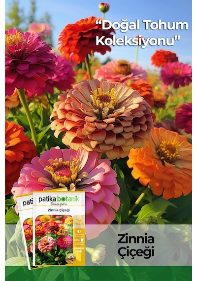 Patika Botanik 30 Adet Zinna Çiçek Tohumu