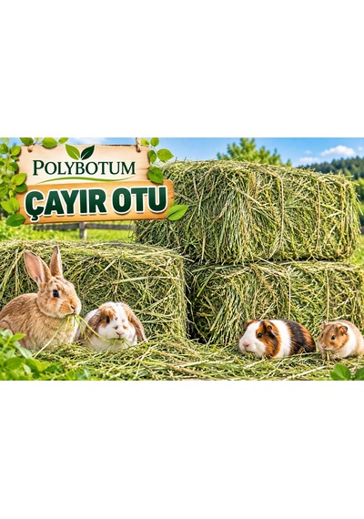 Polybotum Doğal Çayır Otu Tavşan Yemi 1000 Gr Guinea Pig, Hamster Ve Kemirgenler İçin Kurutulmuş