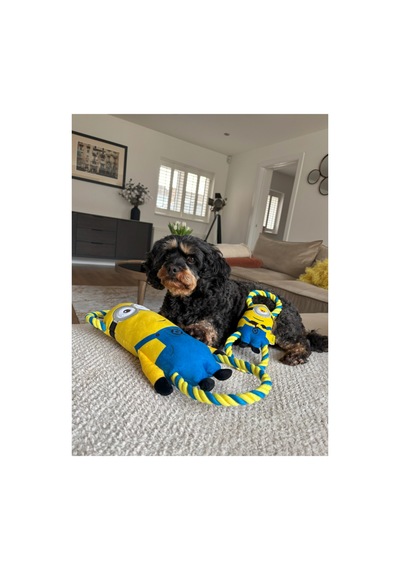 Happy Pet Minions Stuart Double Tug Köpek Çekiştirme Oyuncağı Small