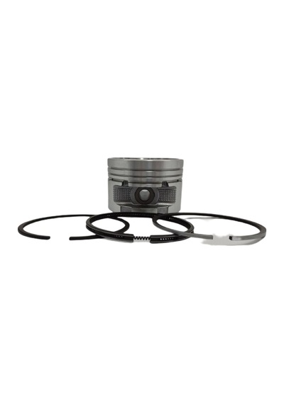 Piston + Segman Seti 0.50 :hatz/1b50