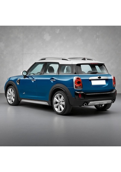 Mini Cooper Countryman F60 16-23 Bagaj Amortisör 1 Ad 51247389398
