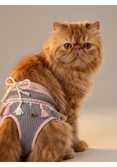 Mini Tassel Lilly Dişi Kedi Regl Külotu Don Kedi İç Çamaşırı Ayarlanabilir Bağcıklı Küçük Irklar İçin