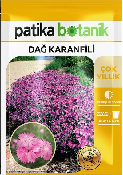 50 Adet Dağ Karanfili Çiçek Tohumu