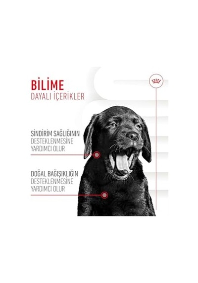 Ayrex Immunity&digestion Chews Yavru Köpekler İçin Bağışıklık Ve Sindirim Sistemini Destekleyen Tamamlayıcı Ö