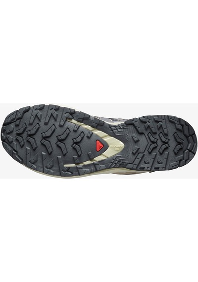 Salomon Xa Pro 3d V9 Gore-tex Kadın Krem Outdoor Ayakkabı-15682 Mor