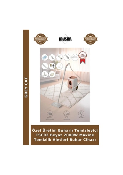 Özel Üretim Buharlı Temizleyici Tsc02 Beyaz 2000w Makine Temizlik Aletleri Buhar Cihazı