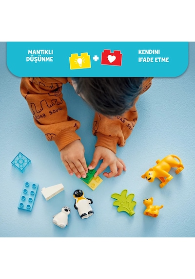 LEGO® DUPLO® Kasabası Vahşi Hayvan Aileleri: Penguenler ve Aslanlar 10442 - 2 Yaş ve Üzeri Küçük Çocuklar için Eğitici Oyuncak Yapım Seti (10P) LEGO® DUPLO® Kasabası Vahşi Hayvan Aileleri: Penguenler ve Aslanlar 10442 - 2 Yaş ve Üzeri Küçük Çocuklar için Eğitici Oyuncak Yapım Seti (10P)