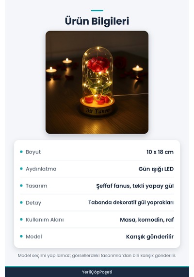 Gül Yapraklı Ledli Gül Fanus Standart
