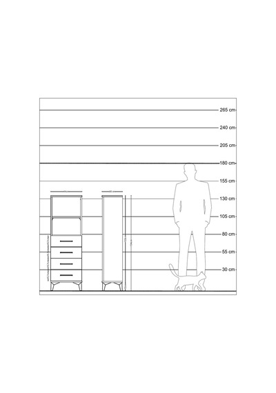 Arges Dolap 2 Raflı 4 Çekmeceli 44x30x134 Çam-antrasit Atlas Çam