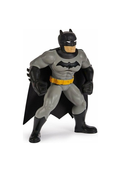 Batman Yüzme Arkadaşları - 6067008