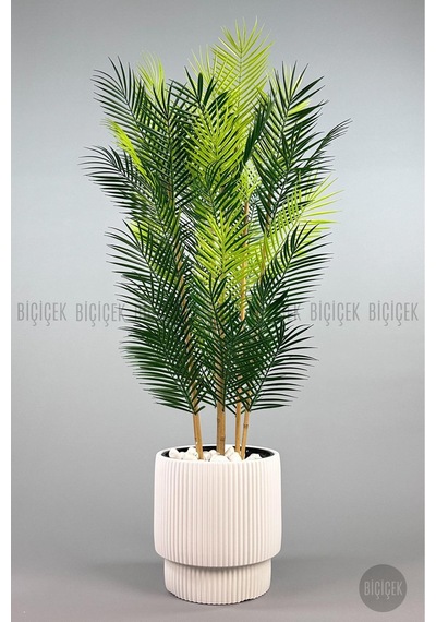 Biçiçek Yapay Areka Palmi̇yesi̇ 48 Yapraklı 150 Cm Beyaz Vega Saksıda