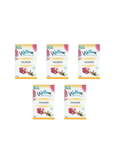 Wellnax Dolap ve Çekmece Kokusu Valerian Çiçeği Kesesi 5 x 21 G