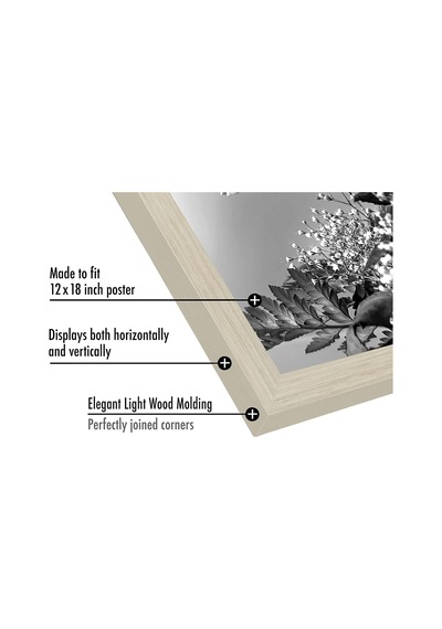 Cilalı Pleksiglas İle 12x18 Poster Çerçevesi - Epik Koleksiyon - Tasarlanmış Ahşap İle Galeri Duvar Çerçeveleri - Duvar Teşhir İçin Fotoğraf Çerçevesi - Açık Ahşap Cilalı Pleksiglas İle 12x18 Poster Çerçevesi - Epik Koleksiyon - Tasarlanmış Ahşap İle Galeri Duvar Çerçeveleri - Duvar Teşhir İçin Fotoğraf Çerçevesi - Açık Ahşap