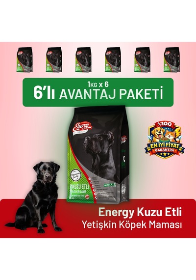 Kuzu Etli Yetişkin Köpek Maması - 6 Adet