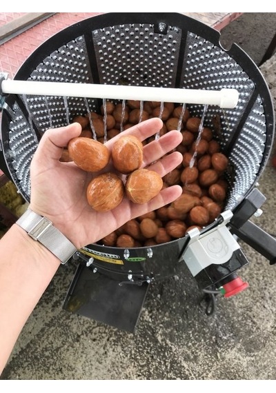 Kadıoğlu Sabit Devir Ceviz Soyma Makinası Pratiko 80 Litre