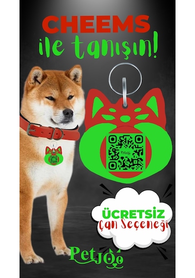 Petjoo 18.Cheems Yeşil-Kırmızı Qr'lı Köpek Künyesi