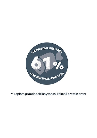 Sanabelle Life Alabalıklı Ve Yaban Mersinli Yetişkin Kuru Kedi Maması 400 Gr