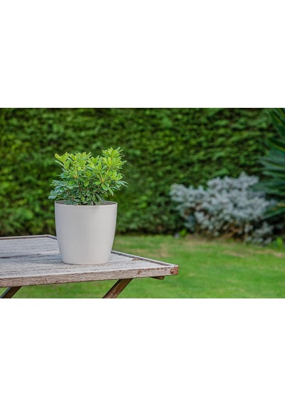 Dekoratif Saksı No:5 Drenaj Aparatı İle Birlikte 34cm, 22 Litre Kirli Beyaz Diğer