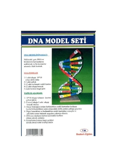 Dna Model Yapım Seti