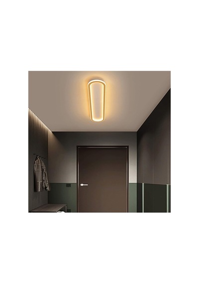 Siyah 60x16cm Oval Avize 6500k Soğuk Beyaz Led Tavan Lambası