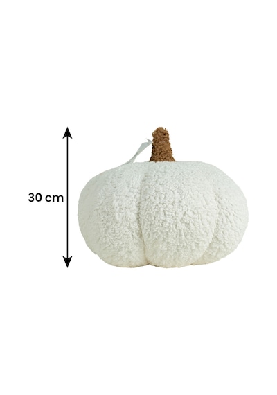 30 Cm Nev Kabak Çok Renkli