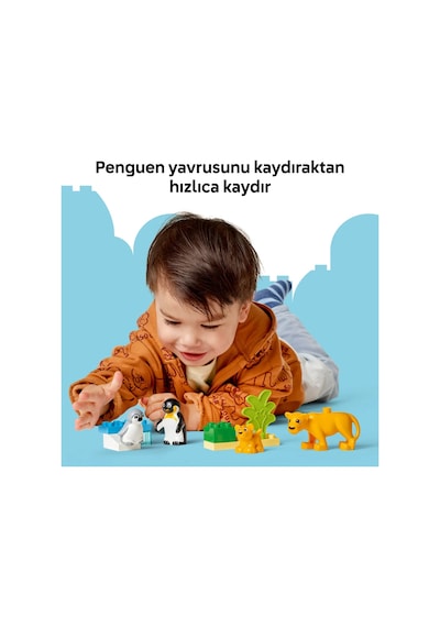 LEGO® DUPLO® Kasabası Vahşi Hayvan Aileleri: Penguenler ve Aslanlar 10442 - 2 Yaş ve Üzeri Küçük Çocuklar için Eğitici Oyuncak Yapım Seti (10P) LEGO® DUPLO® Kasabası Vahşi Hayvan Aileleri: Penguenler ve Aslanlar 10442 - 2 Yaş ve Üzeri Küçük Çocuklar için Eğitici Oyuncak Yapım Seti (10P)