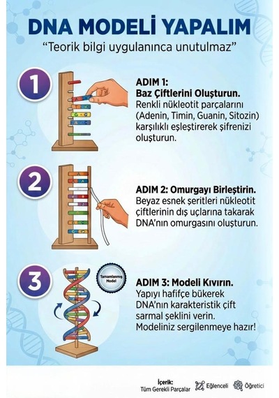 Kendin Yap 3 Boyutlu 72 Parça Dna Model Yapma Eğitici Öğretici Proje Ve Deney Yapım Setleri