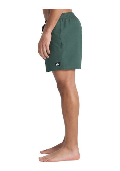 Quiksilver Everyday 15 Erkek Deniz Şortu Yesıl