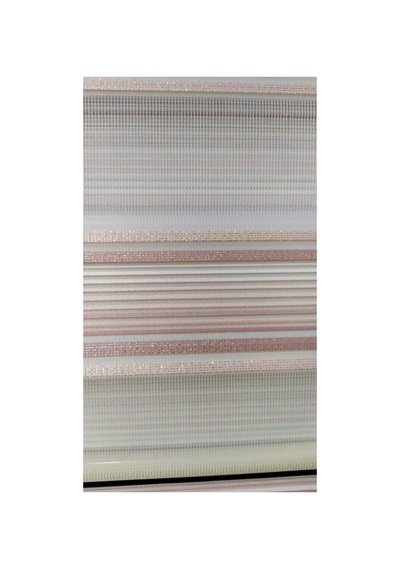 Pudra Pembesi Sim Detaylı Zebra Stor Perde Pudra Pembesi - 97254759 Pudra Pembesi