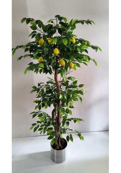 Rüzgar Yapay Çiçekçilik 180 Cm Limon Ağacı Yeşil
